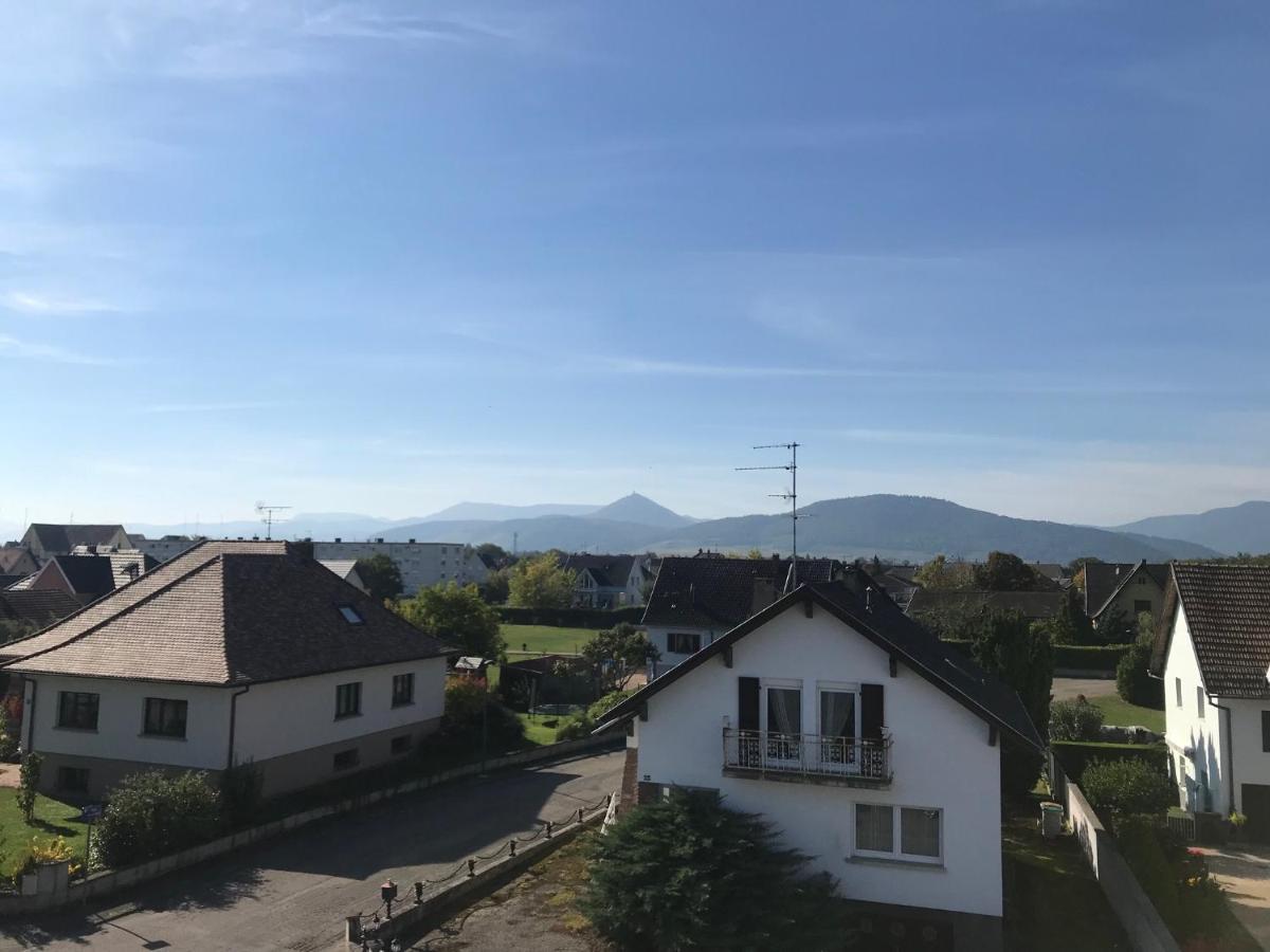 Appartement Chaleureux Et Lumineux Avec Vue ! Au Centre Alsace Селеста Экстерьер фото