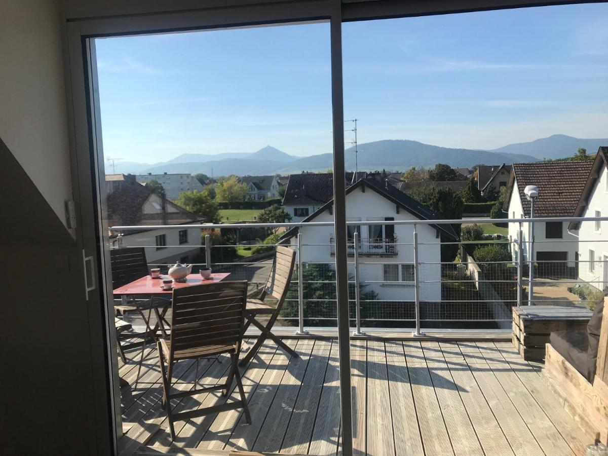 Appartement Chaleureux Et Lumineux Avec Vue ! Au Centre Alsace Селеста Экстерьер фото