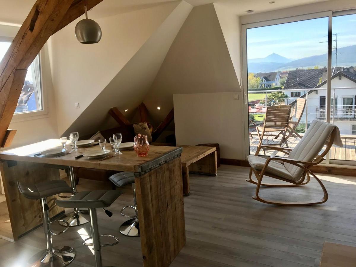 Appartement Chaleureux Et Lumineux Avec Vue ! Au Centre Alsace Селеста Экстерьер фото