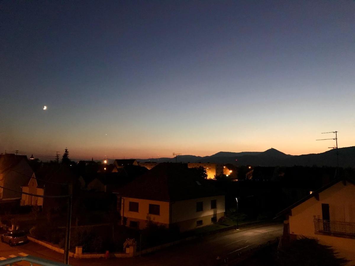 Appartement Chaleureux Et Lumineux Avec Vue ! Au Centre Alsace Селеста Экстерьер фото